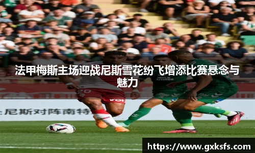 法甲梅斯主场迎战尼斯雪花纷飞增添比赛悬念与魅力